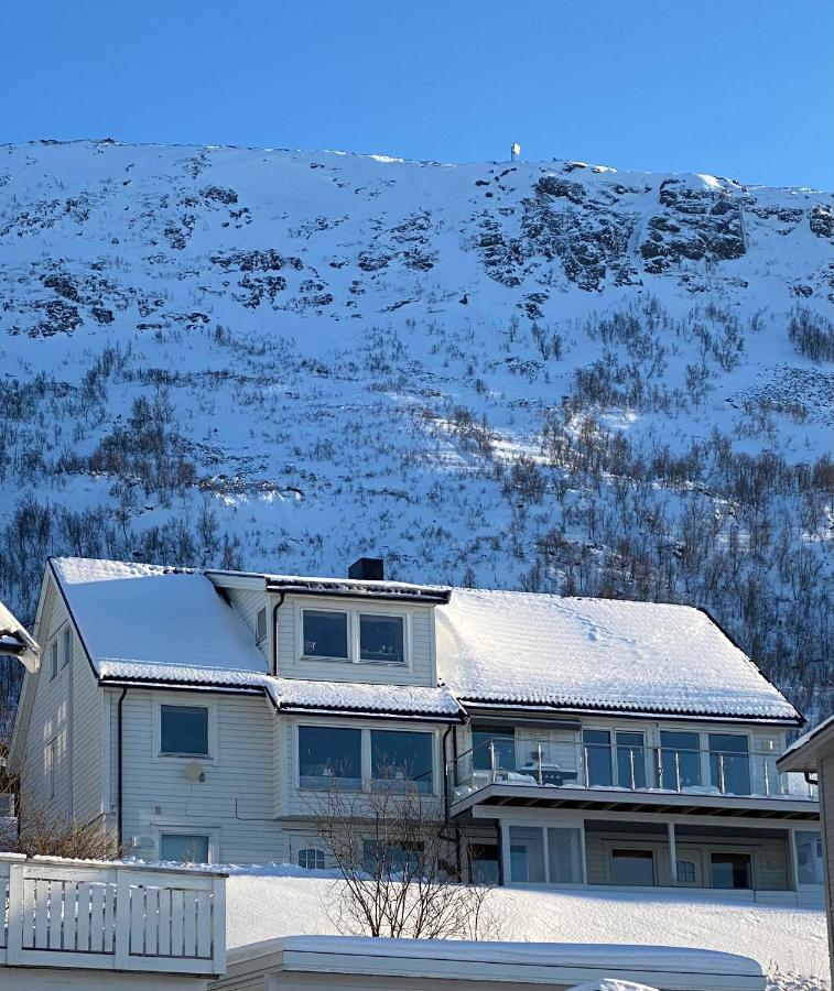 Апартаменти Polar Arctic View - Free Parking! Тромсе Екстер'єр фото